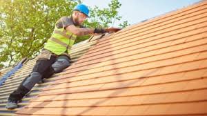 Best Solar Panel Roofing Installation  in Red Bank, TN