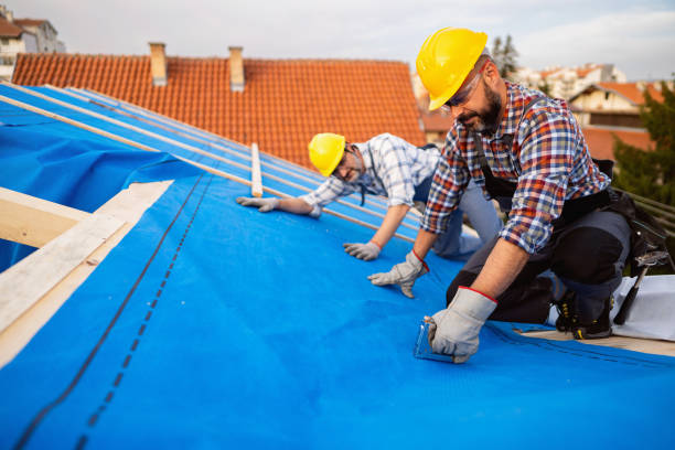 Best Roof Moss and Algae Removal  in Red Bank, TN