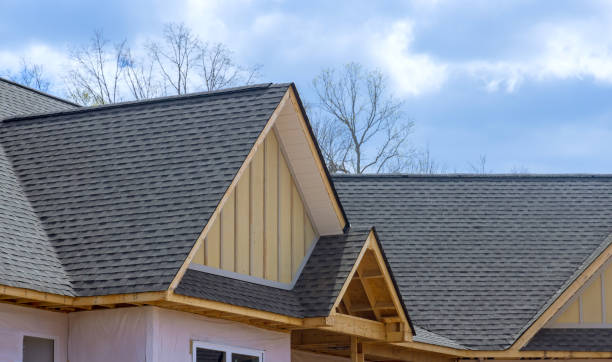 Best Skylight Installation and Repair  in Red Bank, TN